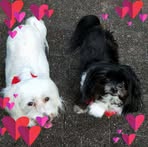 Lilli Matthews - Facebook