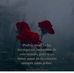 Lilliam Murillo - Facebook