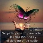 Lilliam Sanchez - @lilliam5322 - Instagram