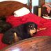 Lillian Barton - Facebook