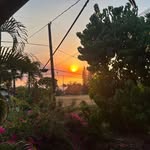 Lillian Berman - @treasuremaui - Instagram