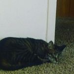 lillian billings - @billings8573 - Instagram