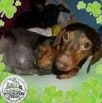 Lillian Bohn - Facebook