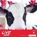 Lillian Booth - Facebook
