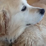 Lillian Booth - @lillianbooth8068 - Instagram