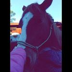 lillianbranham - @barrels234 - Instagram