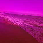 Lillian Brewer - @lil_brew21 - Instagram