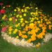 Lillian Britton - Facebook