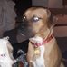 Lillian Britton - Facebook