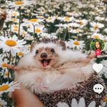 Lillian Britton - @silly_lilly_pro_yo - Instagram