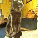 Lillian Bryson - Facebook