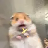 YEAH - @lillianwasfoundbybeeboy - TikTok