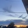 Lilly - @lillian.cagle4 - TikTok