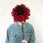 Lillian Calhoun - @calhoun_lillian - Instagram