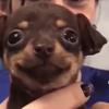 Lily - @lillian.cantu - TikTok