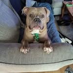 Lillian Cardwell - @lilliancardwell16 - Instagram