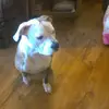 lilliancarlson09 - @lilliancarlson09 - TikTok