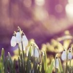 Lillian Carver - @spring_god_girl5656 - Instagram