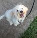 Lillian Casey - Facebook