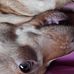 Lily Caswell - Facebook