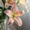 Lillian Lorraine - @lillian.lorraine.cheney - TikTok