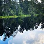 Lillian Cherry - @lilliancherry56 - Instagram