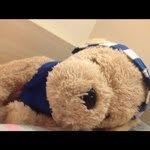 lillianchow - @lillianchow - Instagram