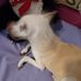 Lily Cintron - Facebook