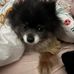 Lillian Clanton - Facebook