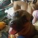 Lillian Clarke - Facebook