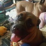 Lillian Clarke - @lillian.clarke.391 - Instagram