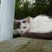Lillian Clarke - Facebook