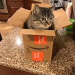 Lillian Clements - @lillian.clements45 - Instagram