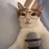 lillian_clouds - @formallycloud - TikTok