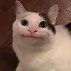lilliancloud5 - @lilliancloud5 - TikTok