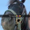 osncixbxhs - @lillian.cochran - TikTok