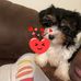 Lilly Colbert - Facebook
