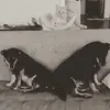 Lillian Colvin - @lillian.colvin - TikTok