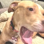 lillian combs - @lillian7053qu - Instagram