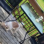 Lillian Connelly - @lillian.connelly2 - Instagram