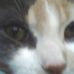 Lillian Corcoran - Facebook