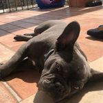 Craig Lillian - @craiglillian275 - Instagram