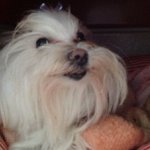 Lillian Craig - @megaminera - Instagram