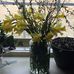 Lillian Creech - Facebook