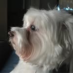 Lillian Crespo - @lilly213 - Instagram