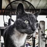 Lillian Crouch - @dailily0722 - Instagram