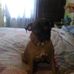 Lillian Dailey - Facebook