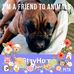 Lillie Dailey - Facebook