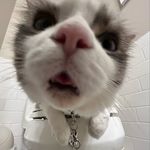 Lillian Day - @lillian_day09 - Instagram