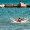 Lilliana Dees - @lilliana558 - TikTok